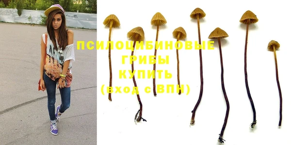 ALPHA-PVP Бугульма