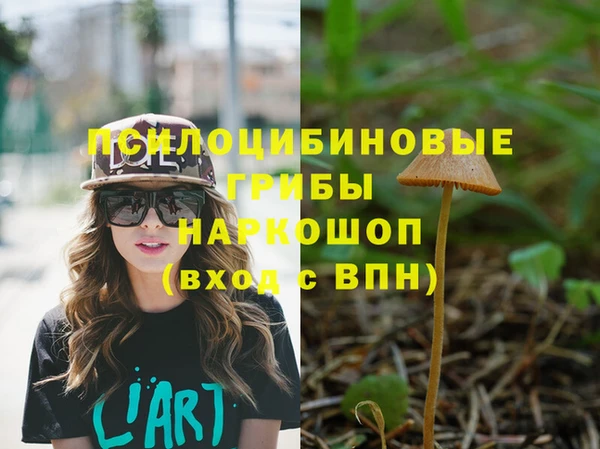 первитин Бородино