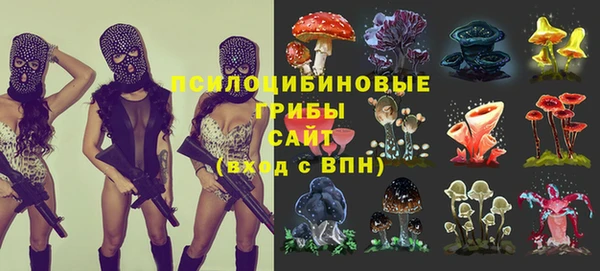 стафф Богданович